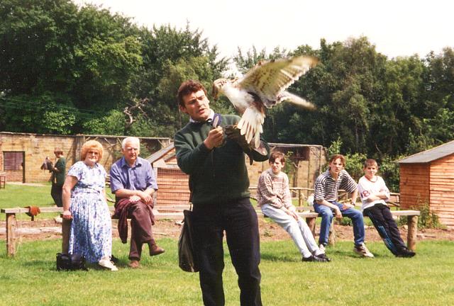 Sion Hill Hall Birds of Prey