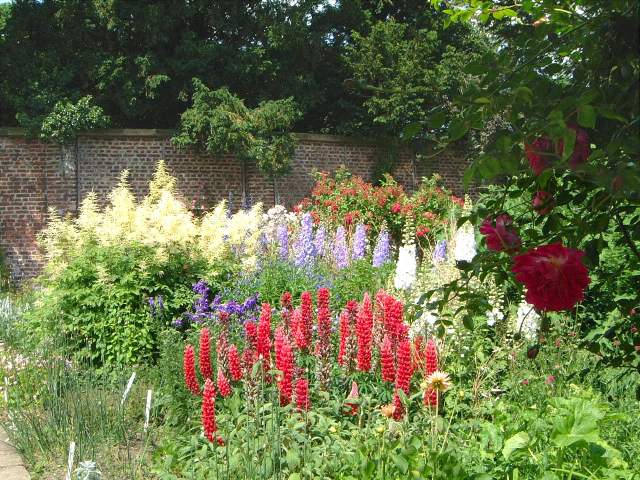 elizabethan garden burton agnes