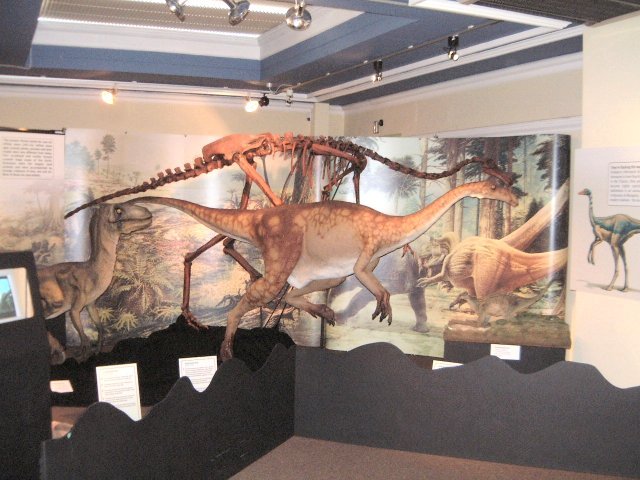 Yorkshire Museum Dinosaurs